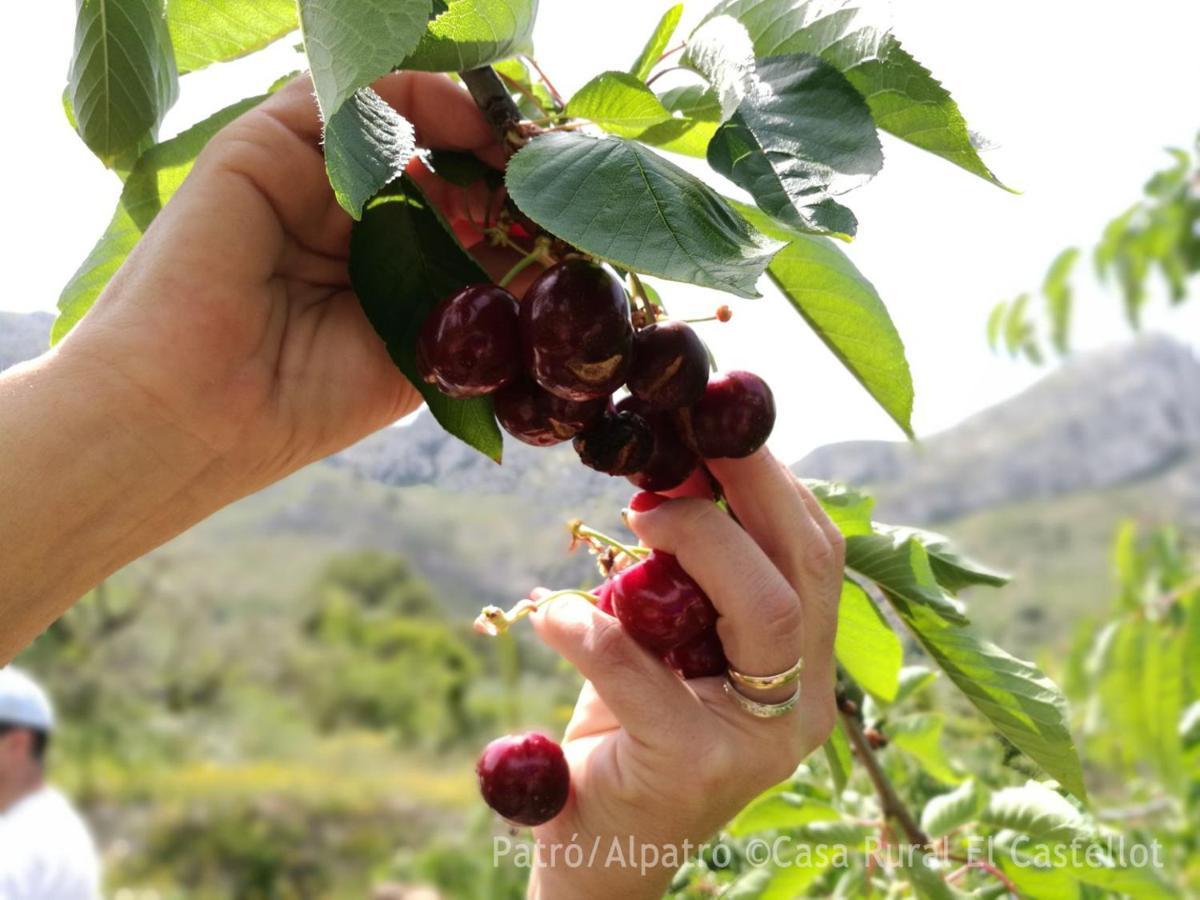 Aparthotel Buhardilla Rustica En La Vall De Gallinera à Patró Extérieur photo