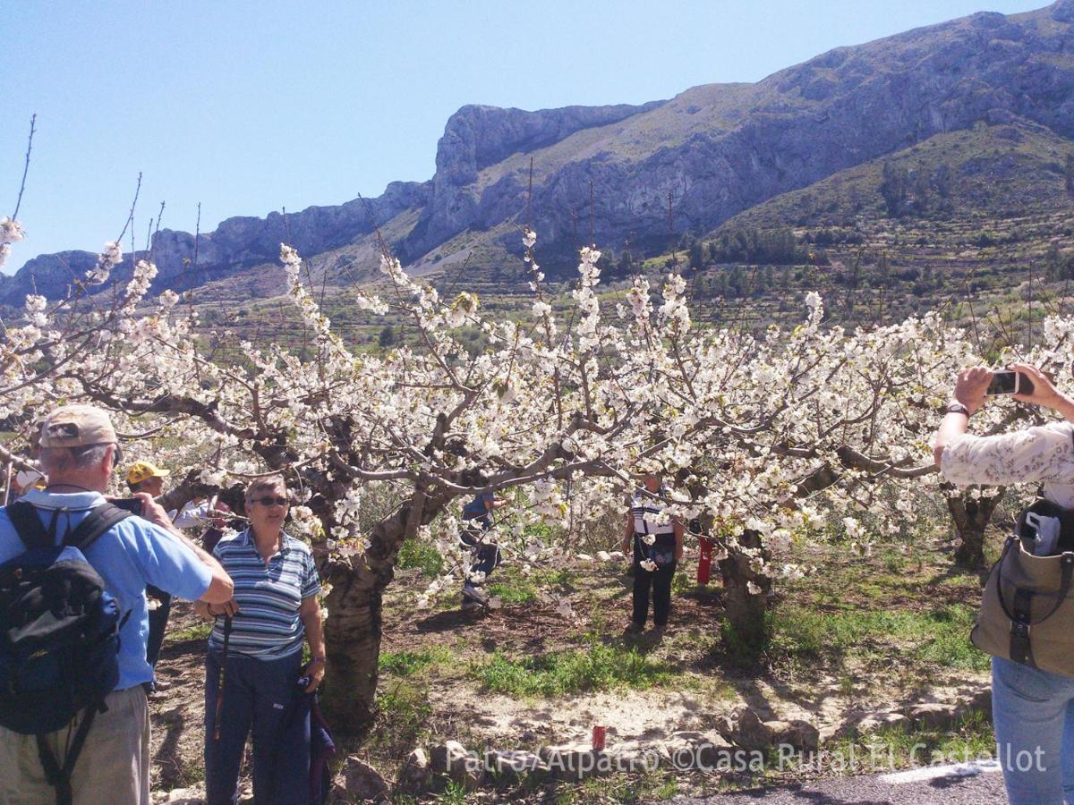 Aparthotel Buhardilla Rustica En La Vall De Gallinera à Patró Extérieur photo
